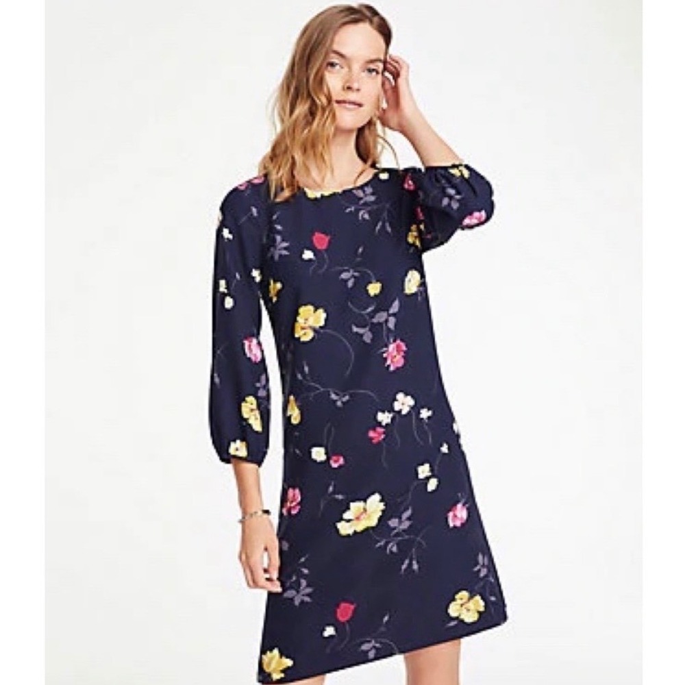 Ann Taylor Floral Shift Dress 8P 8 Petite Navy‎ Blue 3/4 Balloon Sleeve Career